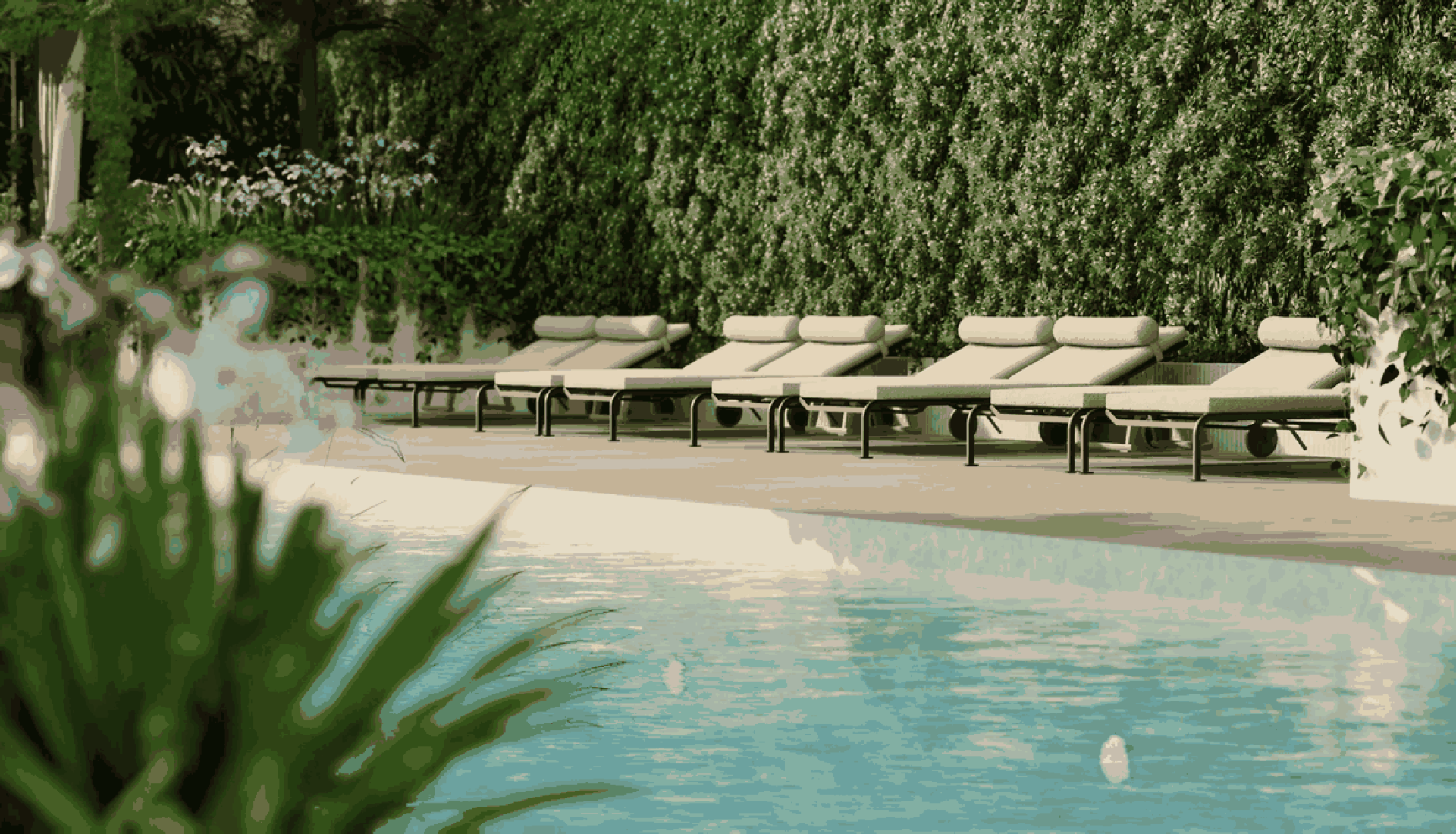 Row of beige lounge chairs by a poolside with a green hedge backdrop.